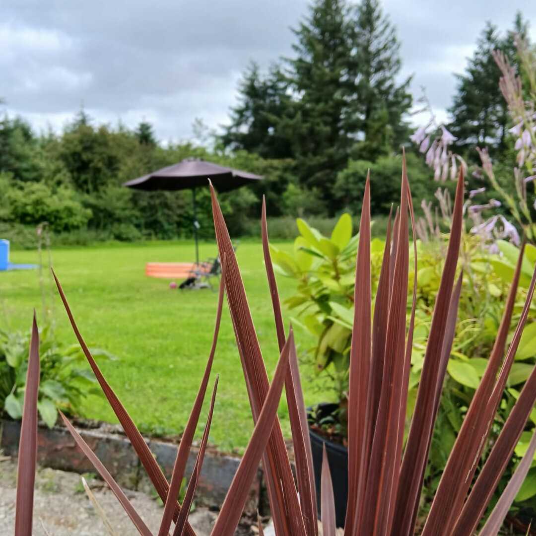 House Image: 2